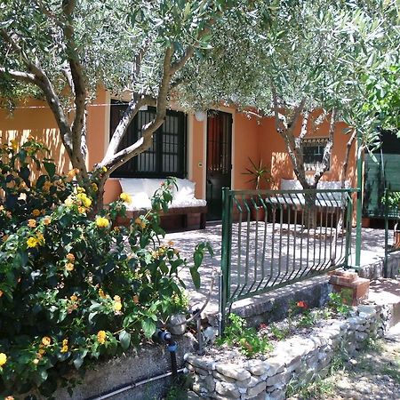 Il Vigneto "Cottage" Gaggi Room photo