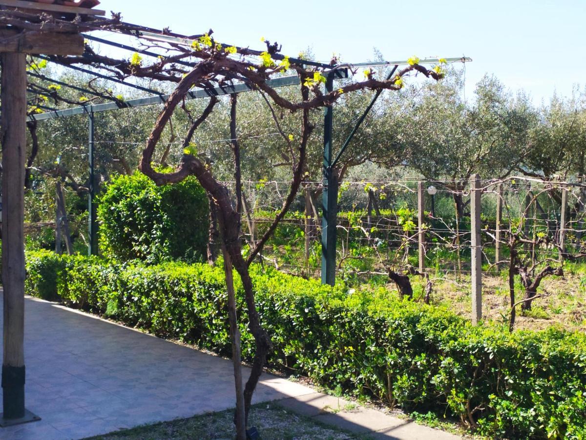 Il Vigneto "Cottage" Gaggi Exterior photo